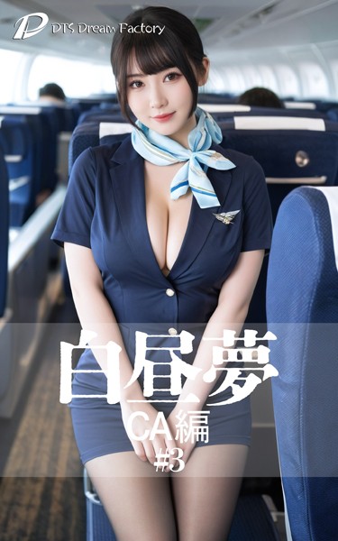 白昼夢 CA編 ＃3|DTS dream factory-制服