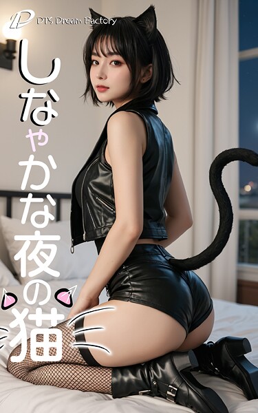 しなやかな夜の猫|DTS dream factory-写真集