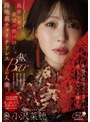 美乳❤小沢菜穂|孤独な男の欲望の捌け口…。路地裏チャイナドレスBARの人妻。衝撃の復活から2年ー。美しさはさらなる輝きへ。 小沢菜穂1dldss00509
