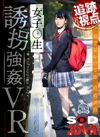 カーセックス❤|【VR】【追跡視点】女子●生 誘拐強●VR13dsvr00619