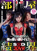 淫乱・ハード系❤|【VR】部屋結界VR～この中だったら僕の思い通りイヒ！～13dsvr00712