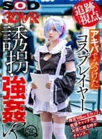 拘束❤|【VR】【追跡視点】アキバでみつけたコスプレイヤー 誘拐・強●VR 露出度高いキャラクターコス。リアルでその恰好はレ○プOKでしょ…13dsvr00879