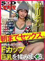 ハメ撮り❤仲川そら|【VR】ダンサーを目指すバイト先の子とコンビニ前で夢を語り合って深夜まで飲みあかし、その場のノリで朝までセックス。前から気になっていたFカップ巨乳を揉みまくる。 仲川そら13dsvr01206