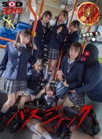 ミニ系❤|【VR】【8K】【VR】（超リアル体験）バスジャックVR ※被害者7名女子●生 スクールバスで、未成熟おマンコを好き勝手に犯しまくりSPECIAL13dsvr01701