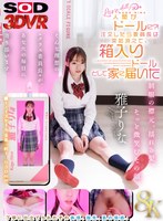 おもちゃ❤雅子りな|【VR】【8K】人間がドールに？！注文したら委員長は突如消えて、箱入りドールとして家に届いた 雅子りな13dsvr01850