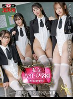手コキ❤|【VR】【8K】私立ハイレグ学園 性処理学科 ～クラスメイト同士で性器を触りあい。真剣に性処理を学ぶVR～13dsvr01955