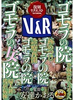 ドラマ❤|ゴモラの院 「ゴモラの院蒼奴夢からゴモラへ 極めつけゴモラの院 診療再開ゴモラの院 ゴモラの女院婦人科残虐病院」42vrxm00004