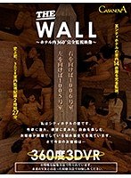 ベスト・総集編❤春原未来・麻里梨夏・あおいれな|【VR】THE WALLh_1116avopvr00110re01