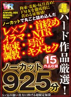 セット商品❤|【VR】ノーカット925分15作品収録 超豪華！！ハード作品厳選！！ ノーカットで丸ごと詰め込んだ レ×プ・首絞め・イラマ・NTR・拘束・号泣・調教・キメセク Sッ気の強い貴方に捧げる超限定福袋kiwvrl00005