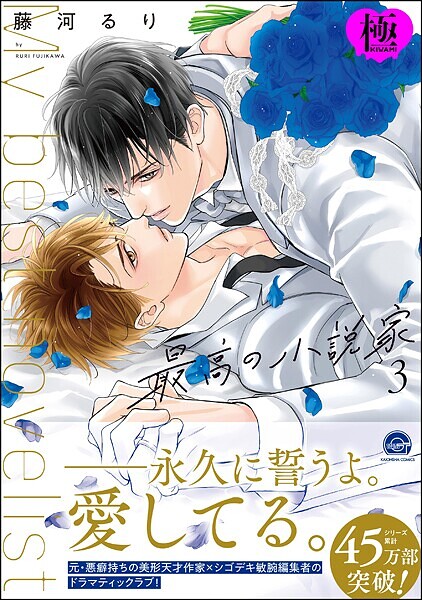 藤河るり|最高の小説家【極】❤単行本【】