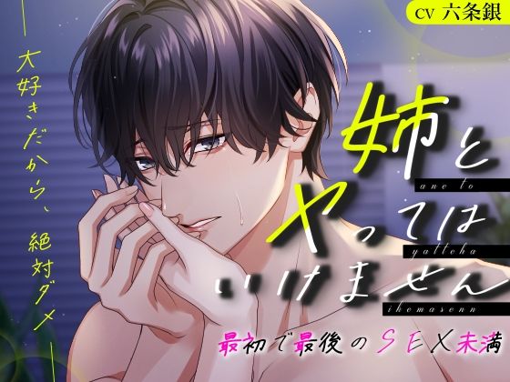 |姉とヤってはいけません 最初で最後のSEX未満─大好きだから、絶対ダメ─❤クンニ【おふとんハムスター】