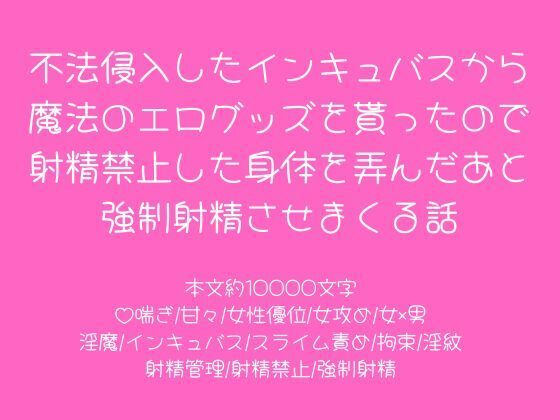 |不法侵入したインキュバスから魔法のエログッズを貰ったので射精禁止した身体を弄んだあと強●射精させまくる話❤拘束【こそこそ倉庫】