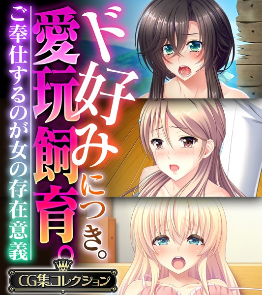 大人のSEXY絵本|ド好みにつき。愛玩飼育 。 〜ご奉仕するのが女の存在意義〜【CG集コレクション】❤単行本【】