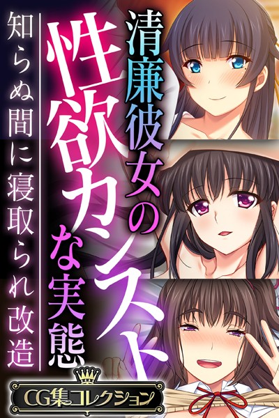 大人のSEXY絵本|清廉彼女の性欲カンストな実態 〜知らぬ間に寝取られ改造〜【CG集コレクション】❤単行本【】