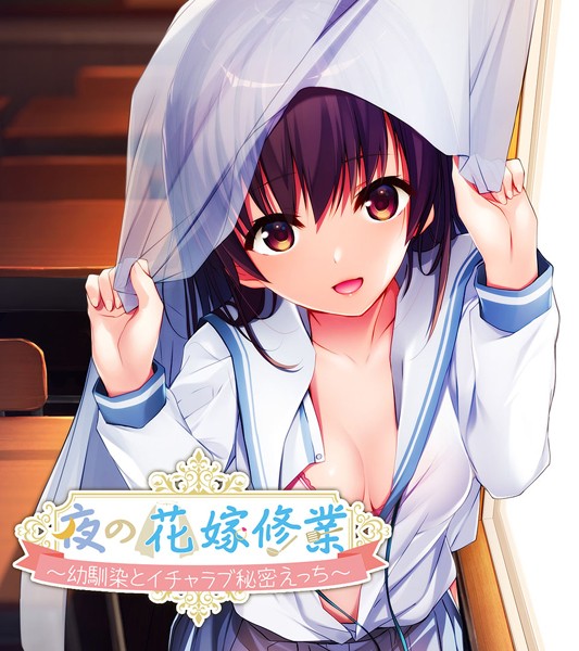 大人のSEXY絵本|夜の花嫁修業〜幼馴染とイチャラブ秘密えっち〜❤単行本【】