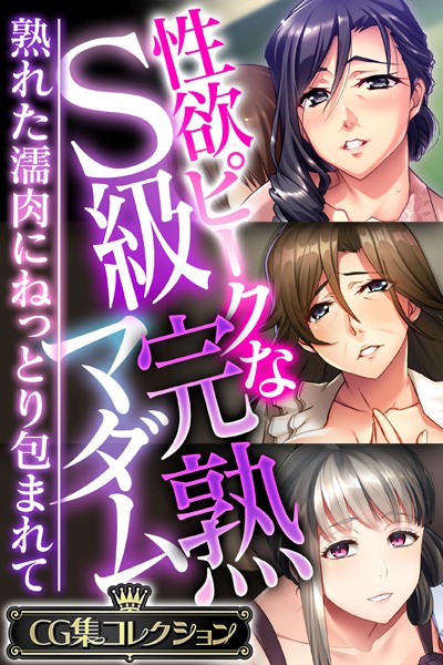 大人のSEXY絵本|性欲ピークなS級完熟マダム 〜熟れた濡肉にねっとり包まれて〜【CG集コレクション】❤単行本【】