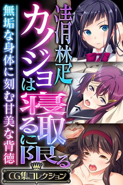 大人のSEXY絵本|清楚カノジョは寝取るに限る 〜無垢な身体に刻む甘美な背徳〜【CG集コレクション】❤単行本【】