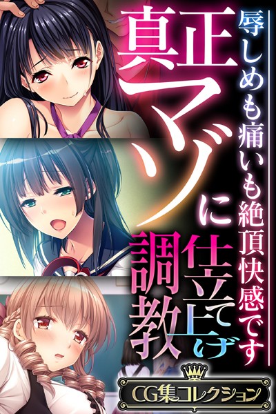 大人のSEXY絵本|真正マゾに仕立て上げ調教 〜辱しめも痛いも絶頂快感です〜【CG集コレクション】❤単行本【】