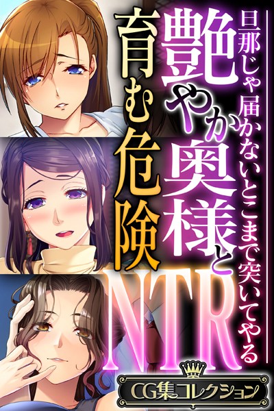 大人のSEXY絵本|艶やか奥様と育む危険NTR 〜旦那じゃ届かないとこまで突いてやる〜【CG集コレクション】❤単行本【】