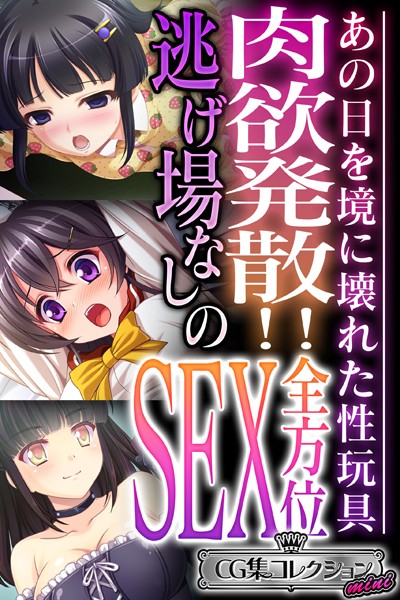 大人のSEXY絵本|肉欲発散！！逃げ場なしの全方位SEX 〜あの日を境に壊れた性玩具〜【CG集コレクション ミニ】❤単行本【】