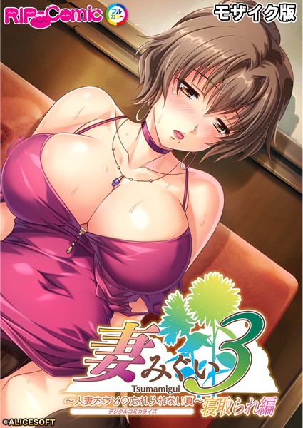 BENETTY|妻みぐい3 〜人妻たちとの忘れられない夏〜 デジタルコミカライズ モザイク版❤単行本【】