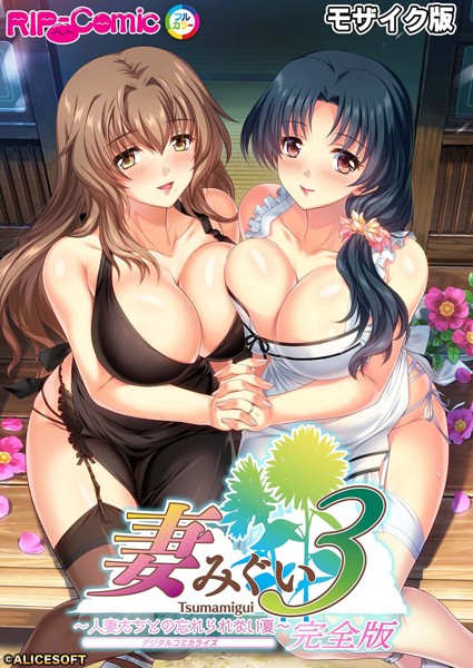 BENETTY|妻みぐい3 〜人妻たちとの忘れられない夏〜 デジタルコミカライズ モザイク版【完全収録】❤単行本【】