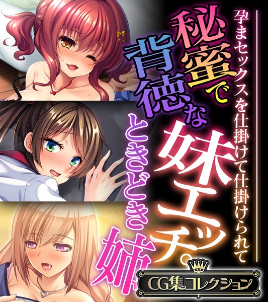 大人のSEXY絵本|秘蜜で背徳な妹エッチ。ときどき姉 〜孕まセックスを仕掛けて仕掛けられて〜【CG集コレクション】❤単行本【】