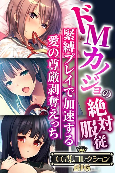 大人のSEXY絵本|ドMカノジョの絶対服従 〜緊縛プレイで加速する愛の尊厳剥奪えっち〜【CG集コレクションBIG】❤単行本【】