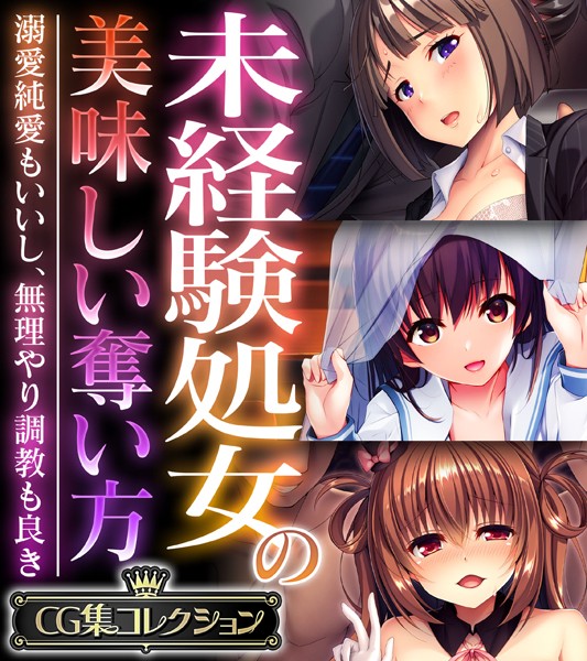 大人のSEXY絵本|未経験処女の美味しい奪い方 〜溺愛純愛もいいし、無理やり調教も良き〜【CG集コレクション】❤単行本【】