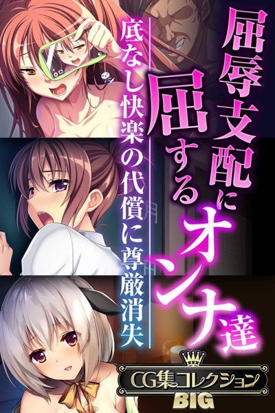 大人のSEXY絵本|屈辱支配に屈するオンナ達 〜底なし快楽の代償に尊厳消失〜【CG集コレクションBIG】❤単行本【】