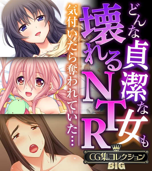 大人のSEXY絵本|どんな貞潔な女も壊れるNTR〜気付いたら奪われていた…〜【CG集コレクションBIG】❤単行本【】