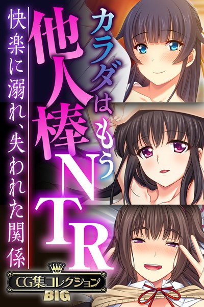 大人のSEXY絵本|カラダはもう他人棒NTR 〜快楽に溺れ、失われた関係〜【CG集コレクションBIG】❤単行本【】