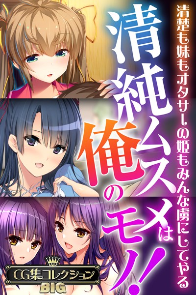 大人のSEXY絵本|清純ムスメは俺のモノ！〜清楚も妹もオタサーの姫もみんな虜にしてやる〜【CG集コレクションBIG】❤単行本【】