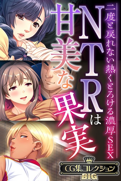 大人のSEXY絵本|NTRは甘美な果実〜二度と戻れない熱くとろける濃厚SEX〜【CG集コレクションBIG】❤単行本【】