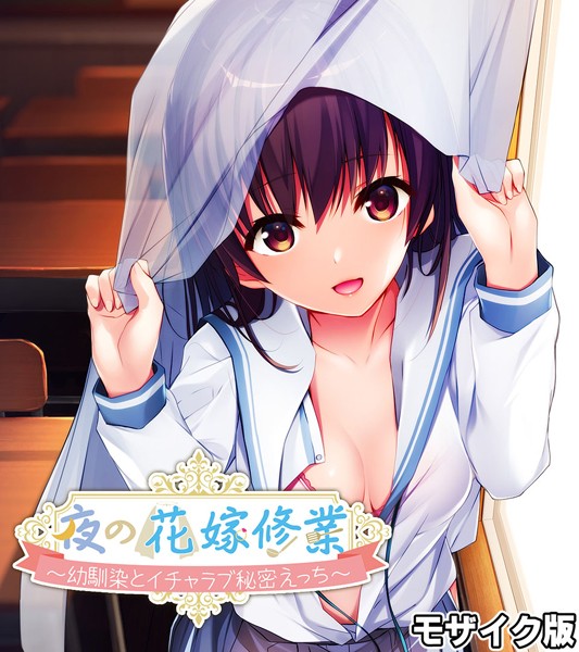 大人のSEXY絵本|夜の花嫁修業〜幼馴染とイチャラブ秘密えっち〜 モザイク版❤単行本【】