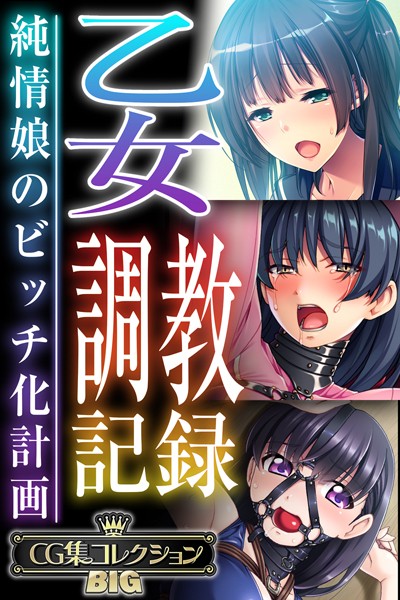 大人のSEXY絵本|乙女調教記録〜純情娘のビッチ化計画〜【CG集コレクションBIG】❤単行本【】