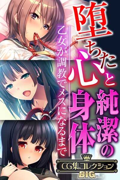 大人のSEXY絵本|堕ちた心と純潔の身体〜乙女が調教でメスになるまで〜【CG集コレクションBIG】❤単行本【】