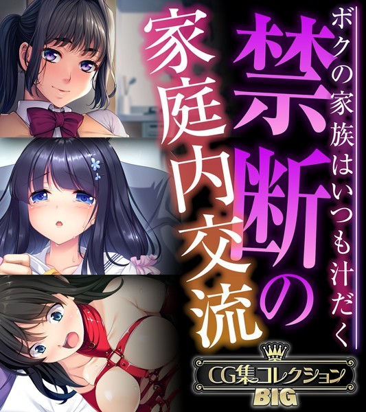 大人のSEXY絵本|禁断の家庭内交流 〜ボクの家族はいつも汁だく〜【CG集コレクションBIG】❤単行本【】