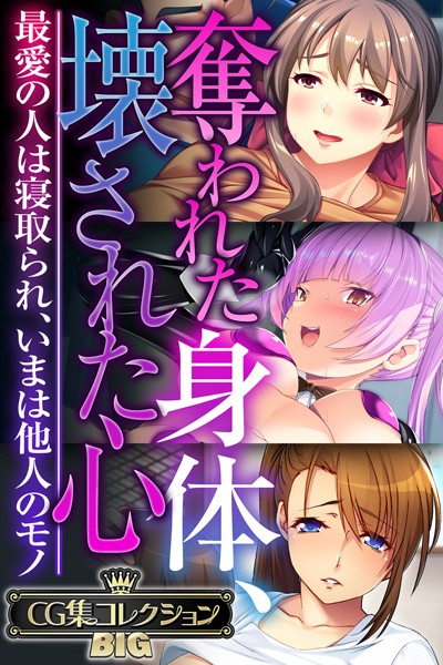 大人のSEXY絵本|奪われた身体、壊された心 〜最愛の人は寝取られ、いまは他人のモノ〜【CG集コレクションBIG】❤単行本【】