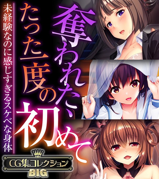 大人のSEXY絵本|奪われた、たった一度の初めて 〜未経験なのに感じすぎるスケベな身体〜【CG集コレクションBIG】❤単行本【】