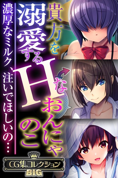 大人のSEXY絵本|貴方を溺愛するHなおんにゃのこ 〜濃厚なミルク、注いでほしいの…〜【CG集コレクションBIG】❤単行本【】