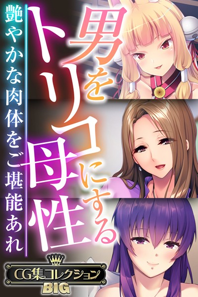 大人のSEXY絵本|男をトリコにする母性 〜艶やかな肉体をご堪能あれ〜【CG集コレクションBIG】❤単行本【】