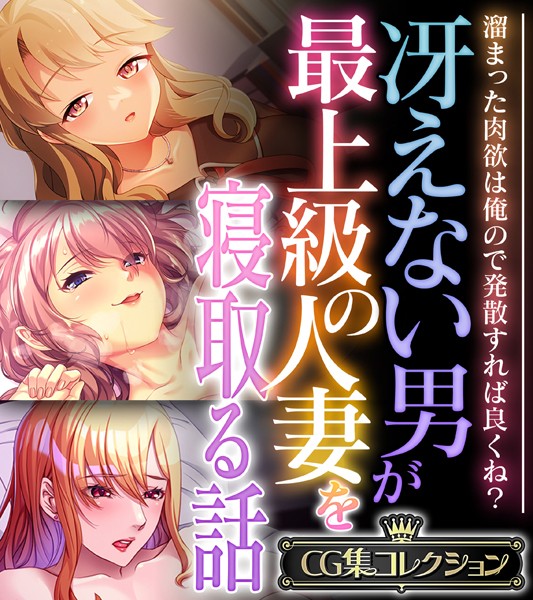 大人のSEXY絵本|冴えない男が最上級の人妻を寝取る話 〜溜まった肉欲は俺ので発散すれば良くね？〜【CG集コレクション】❤単行本【】