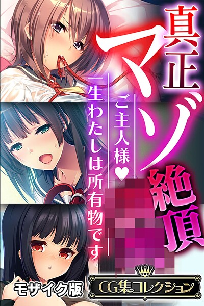 大人のSEXY絵本|真正マゾ絶頂●● 〜ご主人様 一生わたしは所有物です〜【CG集コレクション】 モザイク版❤フルカラー【】
