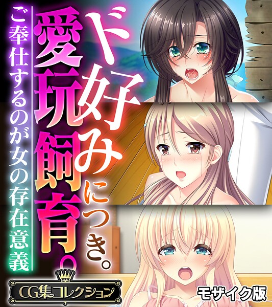 大人のSEXY絵本|ド好みにつき。愛玩飼育。 〜ご奉仕するのが女の存在意義〜【CG集コレクション】 モザイク版❤フルカラー【】