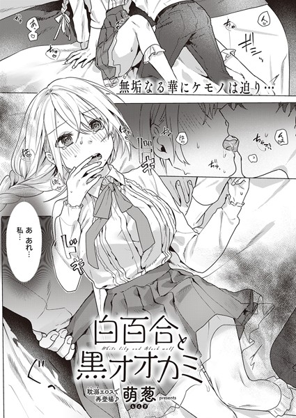 萌葱|白百合と黒オオカミ（単話）❤辱め【】