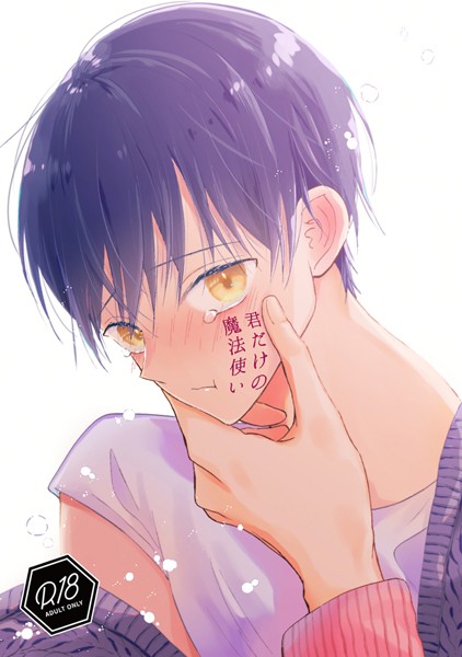 星河夜|君だけの魔法使い❤ファンタジー【】