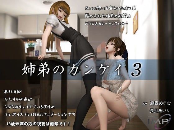 【姉弟のカンケイ3】3DCG❤IMP
