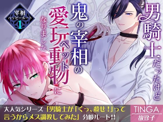 |男騎士だったけど鬼の宰相の愛玩動物（ペット）になりました（1）❤ファンタジー【TINGA/故珍子】