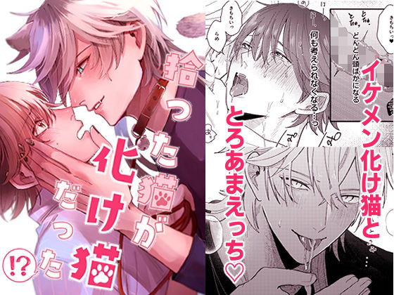 |拾った猫が化け猫だった！？❤BL（ボーイズラブ）【イチA】